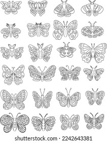 Colorful Butterfly art print poster,Butterfly wall decor.Set of realistic vector butterfly.Collection of vintage elegant illustrations of butterfly.Clip art.Design element for your project.line art
