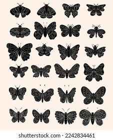 Colorful Butterfly art print poster,Butterfly wall decor.Set of realistic vector butterfly.Collection of vintage elegant illustrations of butterfly.Clip art.Design element for your project.line art
