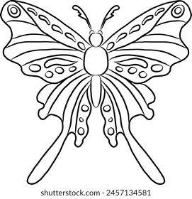 Colorful Butterfly art print poster,Butterfly wall decor.Set of realistic vector butterfly.Collection of vintage elegant illustrations of butterfly.Clip art.Design element for your project.line art