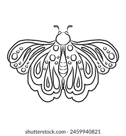 Colorful Butterfly art print poster,Butterfly wall decor.Set of realistic vector butterfly.Collection of vintage elegant illustrations of butterfly.Clip art.Design element for your project.line art