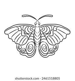 Colorful Butterfly art print poster,Butterfly wall decor.Set of realistic vector butterfly.Collection of vintage elegant illustrations of butterfly.Clip art.Design element for your project.line art