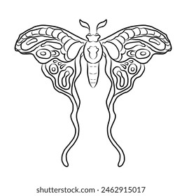Colorful Butterfly art print poster,Butterfly wall decor.Set of realistic vector butterfly.Collection of vintage elegant illustrations of butterfly.Clip art.Design element for your project.line art