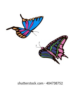 Colorful butterfly with blue and pink wings isolated on white. Vector illustration.