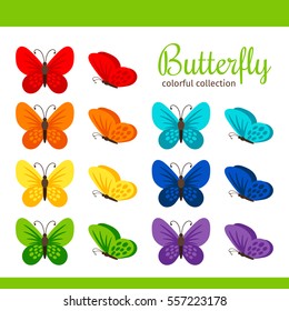 Colorful butterfly collection vector illustration. Spring butterflies isolated on white background.