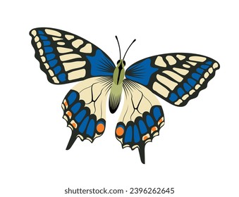 Colorful butterfly concept. White and blue insect with wings. Fauna and wild life. Beauty, aesthetics and elegance. Bright moth. Cartoon flat vector illustration isolated on white background