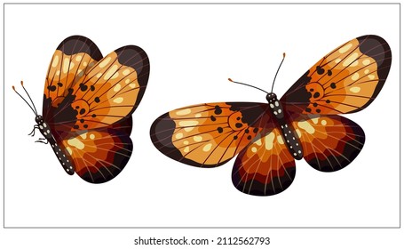 Colorful butterfly danaid monarch .Cartoon vector graphic.