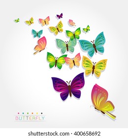 Colorful butterfly design background ,isolate Vector illustration