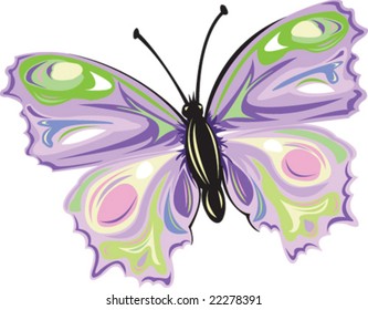 colorful butterfly design - vector