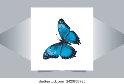 colorful Butterfly design, vector butterfly 