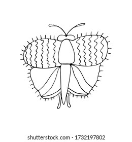 Colorful butterfly doodle monochrome in modern style on white background. Seamless background pattern. Trendy floral design. Vintage wallpaper. Love vector illustration. Vector design element.