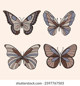 COLORFUL BUTTERFLY DRAWING AND ILLUSTRATION
