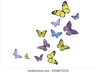 colorful butterfly hand drawn design