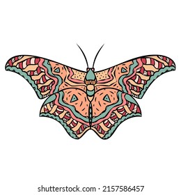 Colorful butterfly. Hand drawn isolated vector illustration. 