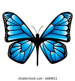 Colorful butterfly illustration.