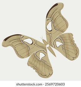 A colorful butterfly with intricate details, perfect for a logo design that represents grace, transformation, and beauty