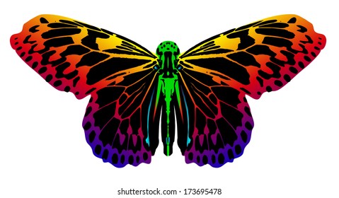 colorful butterfly isolated on white background