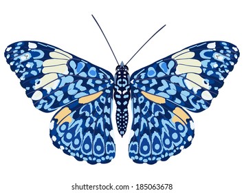Colorful butterfly isolated on white background