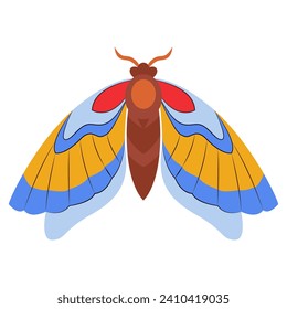 Colorful Butterfly logo isolated. Butterfly illustration. Beautiful insects isolated on white background. Spring summer seasons butterfly. design element. Vector illustration