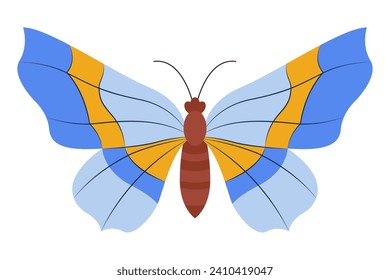 Colorful Butterfly logo isolated. Butterfly illustration. Beautiful insects isolated on white background. Spring summer seasons butterfly. design element. Vector illustration