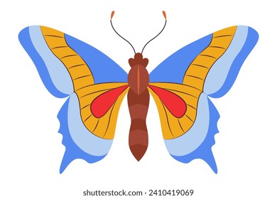 Colorful Butterfly logo isolated. Butterfly illustration. Beautiful insects isolated on white background. Spring summer seasons butterfly. design element. Vector illustration