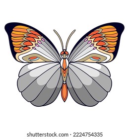 Colorful butterfly mandala arts isolated on white background