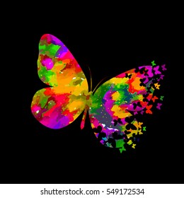 Colorful butterfly mosaic. Vector