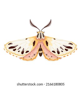 Colorful Butterfly, Night Moth. Cartoon Vector Graphic.