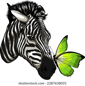 colorful butterfly on head zebra vector design on white background.