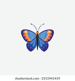 colorful butterfly on white background