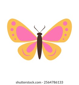 Colorful butterfly with pink and yellow wings on a white background. 