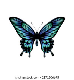 Colorful Butterfly  Realistic Colorful Butterfly Vector Illustration  With White Background   Butterfly Clipart. 