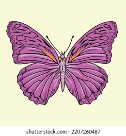 Colorful Butterfly Realistic Colorful Butterfly Vector Illustration With White Background Butterfly Clipart.