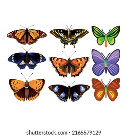 colorful butterfly set flat vector design