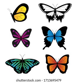 Colorful Butterfly Set Vector Illustration with Gradient Color.