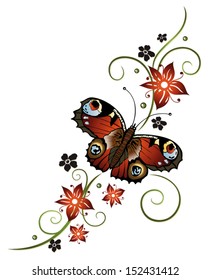 Colorful butterfly, summer time