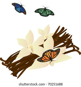 colorful butterfly that flies in the meadows in spring flower