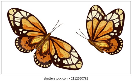 Colorful butterfly urticaria.Cartoon vector graphic.