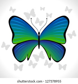 Colorful butterfly Vector
