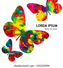 Colorful  butterfly. Vector