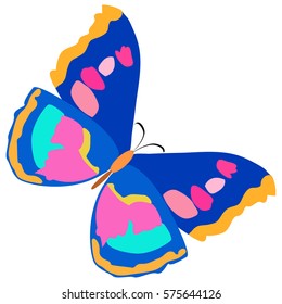 Colorful Butterfly, Vector Butterfly