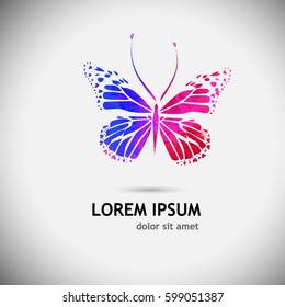 Colorful Butterfly. Vector