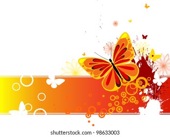 colorful butterfly - vector