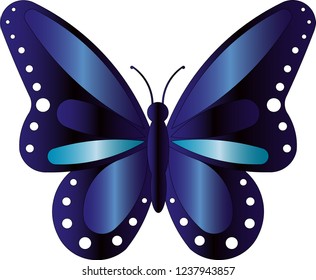 Colorful butterfly vector design. Vector Illustration.