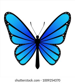 Colorful butterfly . Vector illustration