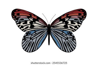 Colorful butterfly a vector illustration