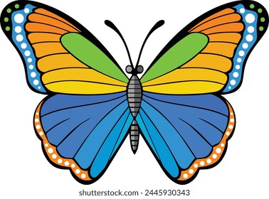 Colorful Butterfly with Vivid Colors