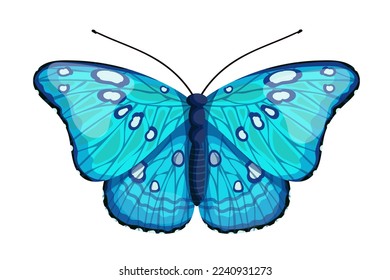 Colorful butterfly, winged insect.Vector graphics.