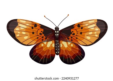 Colorful butterfly, winged insect.Vector graphics.