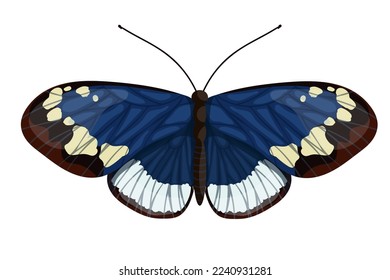 Farbiger Schmetterling, Flügelinsekt.Vektorgrafik.