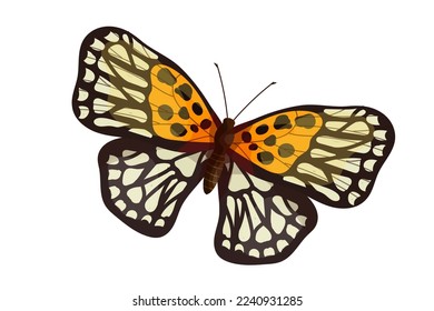 Colorful butterfly, winged insect.Vector graphics.